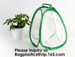 Agricultural Greenhouses for Tomato Planting,Pop-Up Tomato Plant Protector
