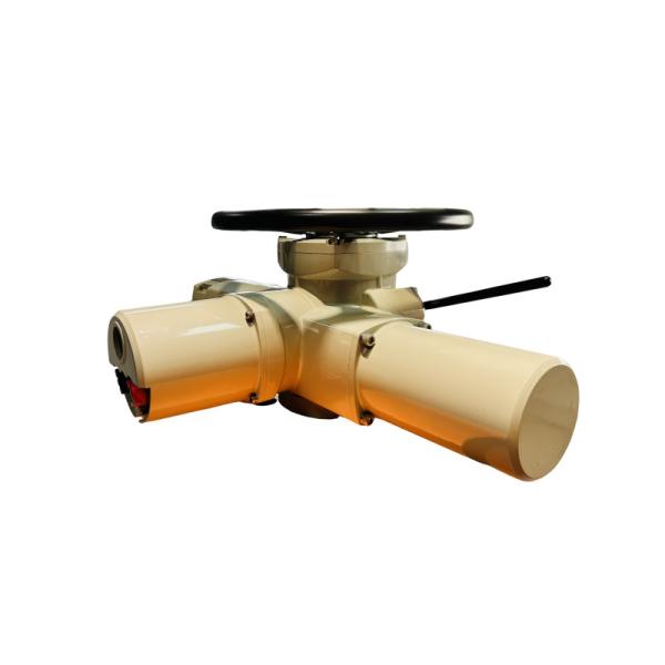 Multi Turn Intelligent Electric Actuator Thermal Protection Smart Electric Actuator