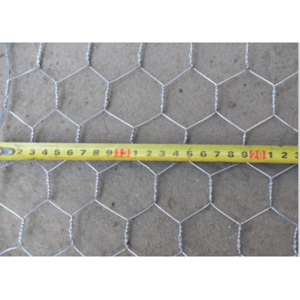 PVC Coated 1/2" X 1/2 " BWG27 0.41mm Hexagonal Wire Netting