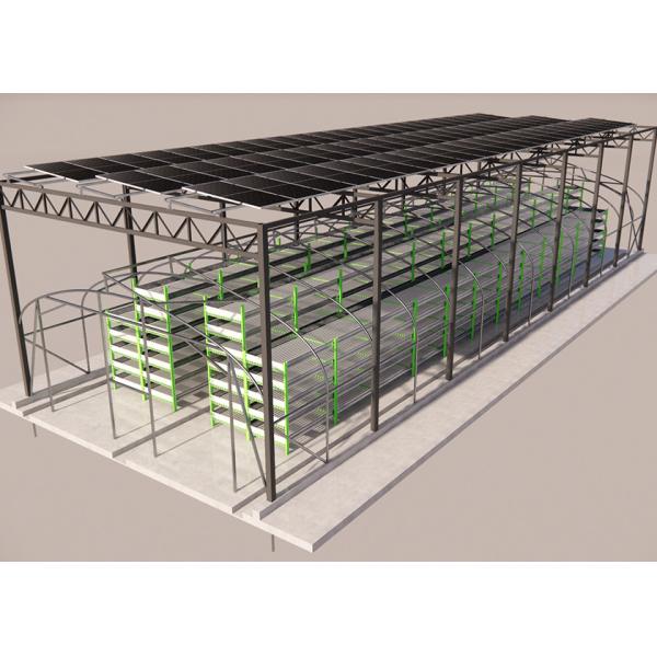 Eco Friendly Outdoor Mushroom Greenhouse With Integrated Photovoltaic Roof System