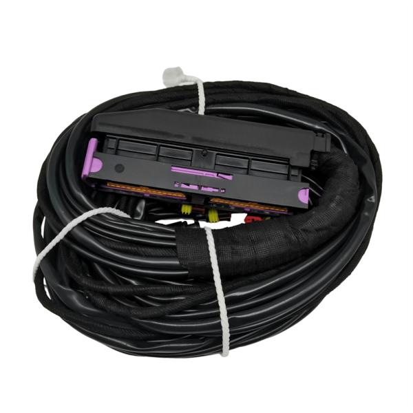 56 Pin ECU Wiring Harness With Multiple Connectors And PVC Pipe Protection