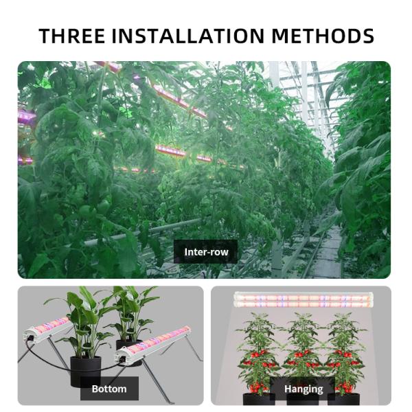 Deep Red LED Grow Light 150W Full Spectrum IP65 Waterproof LED Grow Light