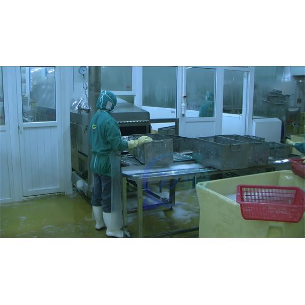 Sushi stainless steel cleaning machine customized shrimp boiling machine belt steam blanching machine