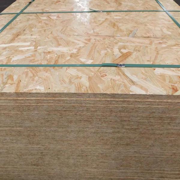 Osb Chip Board Plywood 4x8 Sheets OSB Particle Board Plywood Panels For Cabinets Home Decorative