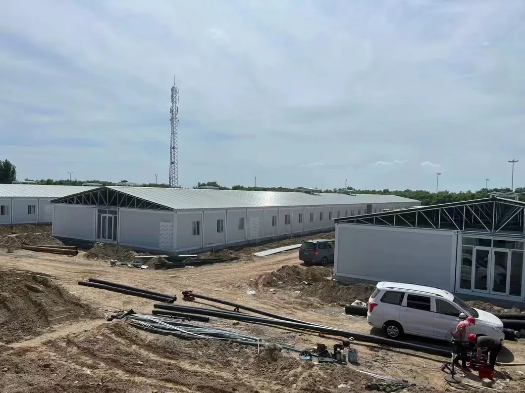 Automatic Equipment Metal Cage Steel Structure Broiler Chicken Poultry House