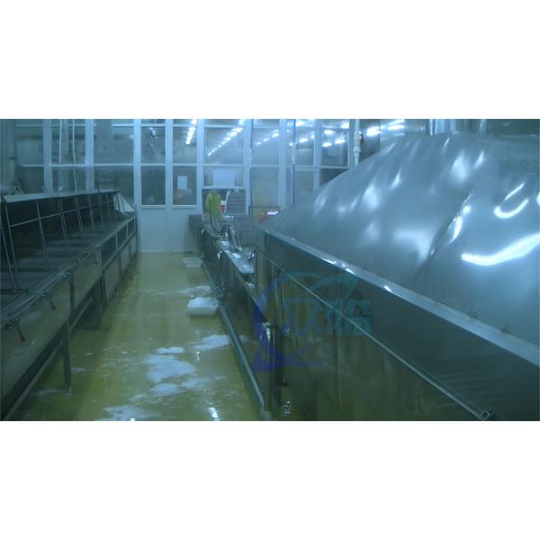 Sushi stainless steel cleaning machine customized shrimp boiling machine belt steam blanching machine