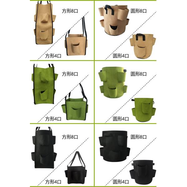 38L Quadrate Strawberry Grow Bags