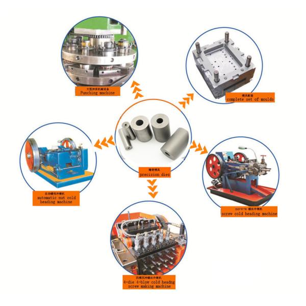 Carbide Precision Tooling Tungsten Carbide Screw Header Punches Die High Stress Resistance Machine Component