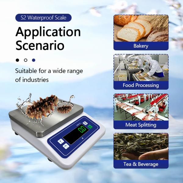 ABS Material 430 Stainless Steel Plate Table Scale for Advanced S2 Waterproof Electronic