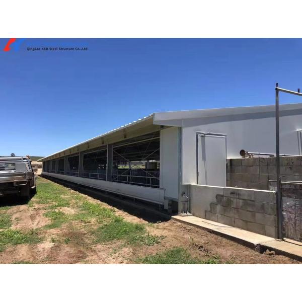 Durable Steel Building Steel Frame Piggery House Onsite Installation
