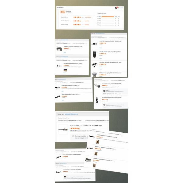 Airmatic 4Matic W221 Rear Air Suspension Shocks Absorber For Mercedes Benz Right Rear 2213205613 Suspension Absorbers