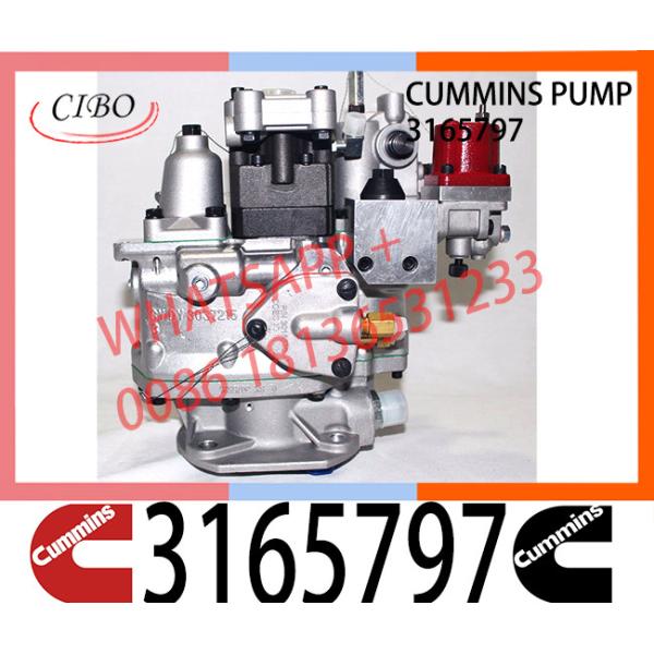 Diesel Engine Parts Fuel Pump 3165797 3165692 Engine accessories