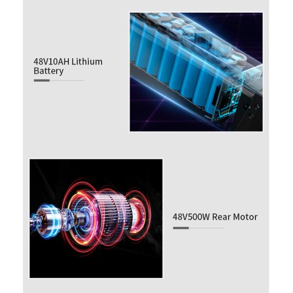 Dual motor Fat Tire Electric Mountain Bike 30KMH Multimodes for adults