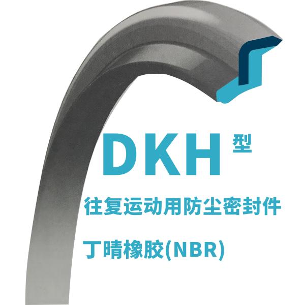 DKH Wiper Seal