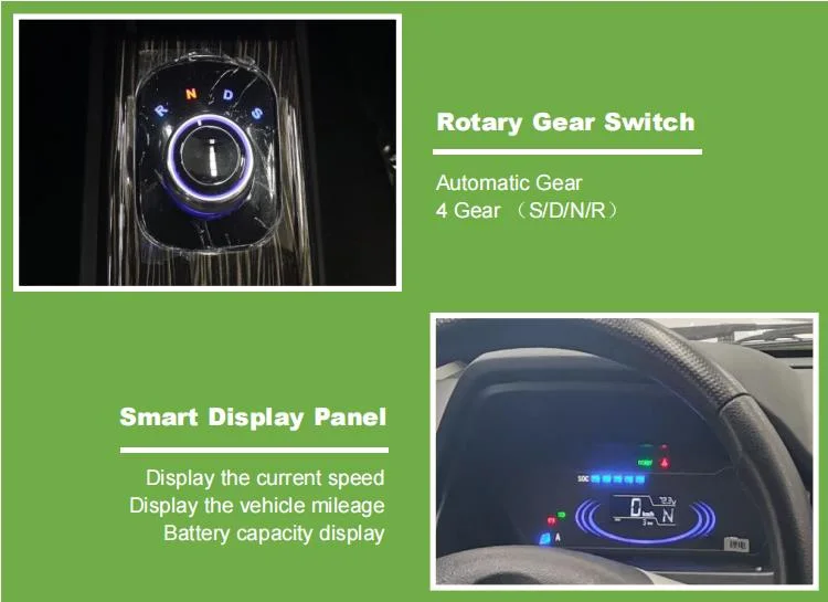 Raysince factory hot sales model 5 door electric car adult vehicle 4 Seats electric vehicles for sale