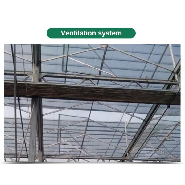 Flower Vegetable Growing High Venlo Tempered Glass Greenhouse with Hydroponic System