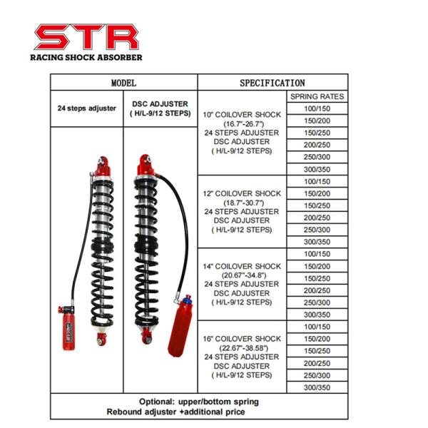 DSC 2.5 Mono Shock Absorber technical detail