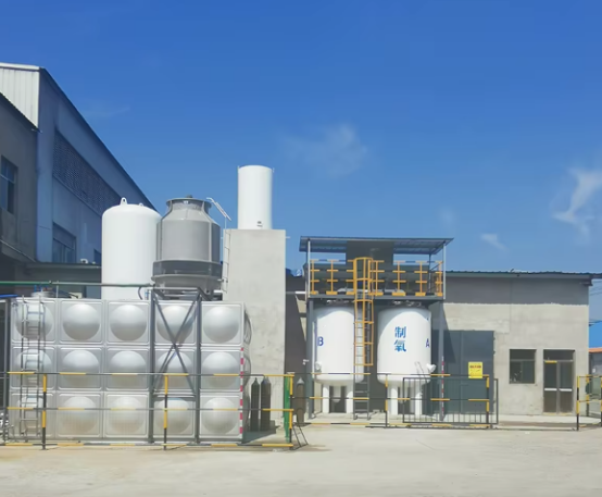  Psa Oxygen Plant 30Nm/h Oxygen Generator For Industrial