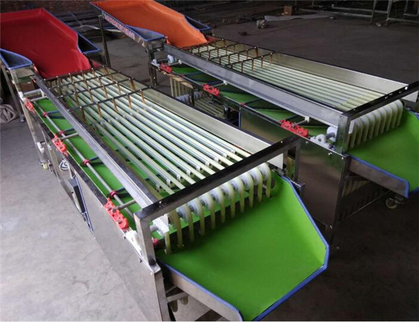 plum grading machine, dates sorting machine, cherry waxberry sorter