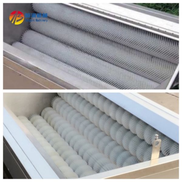 Durable Industrial Ginger Horseradish Washing and Peeling Machine with 380V Voltage