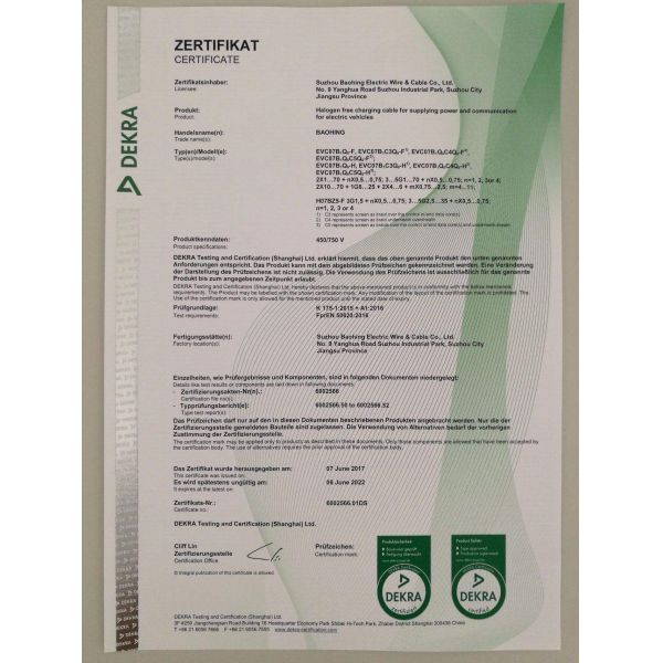 Changcheng Great Wall Poer 2023 2024 Electric Pickup Truck The Ultimate Electric Vehicle for Your Business Needs