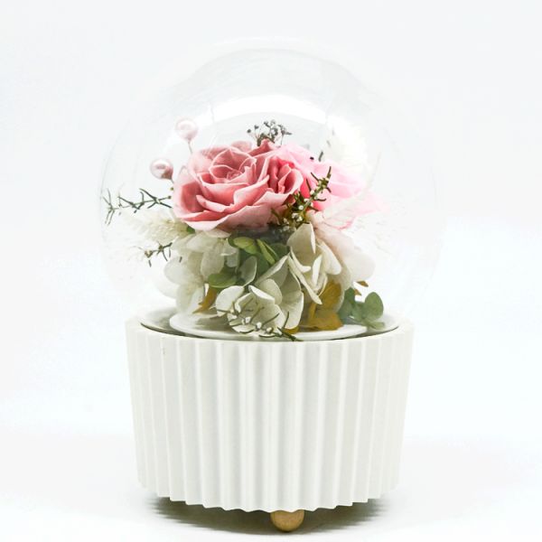 3-5 Years Lasting Preserved Rose Glass Dome Beautiful Home Decor Day Gift