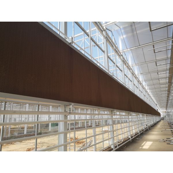 Venlo Greenhouse Commercial Polycarbonate Greenhouse For Seeds Vegetables Hydroponic Tomato Cucumber