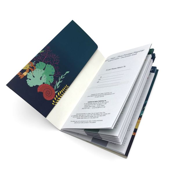 A5 A3 Catalogue Brochure Printing Services Offset With Matte Lamination