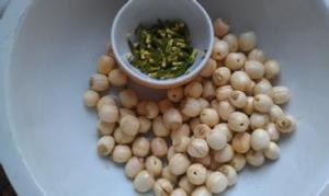 Quality Semen Nelumbinis,Lotus seed,Dried lotus seeds Red/White, with shell/without shell wholesale