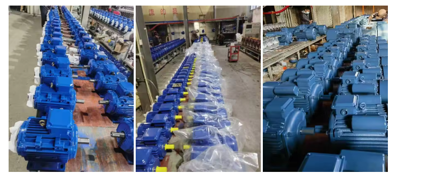 IE2 IE3 IE4 Induction Motor Three Phase 11kw-200kw 380V IE3 Premium Efficiency Motors