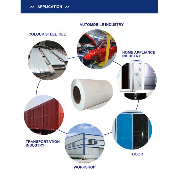 Double Coated Color Painted Metal Roll Paint Galvanized Zinc Coating PPGI Steel Coil for Building Material Industry