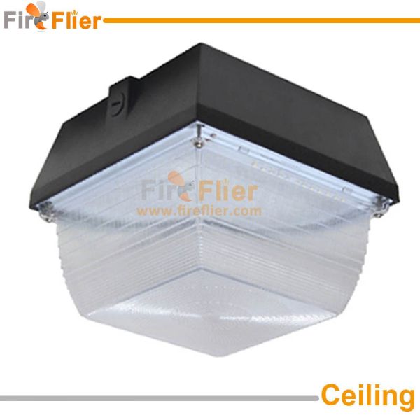 ceiling canopy light show.jpg