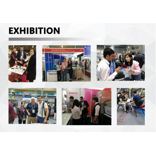 Commercial Stainless Steel  2 Doors Freezer GN Upright Refrigerator Hotel Restaurant Kitchen Chiller Freezer