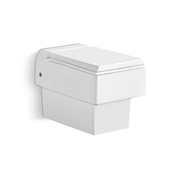 White P Trap Rimless Wall Hung Toilet Bowl One Piece With Bidet