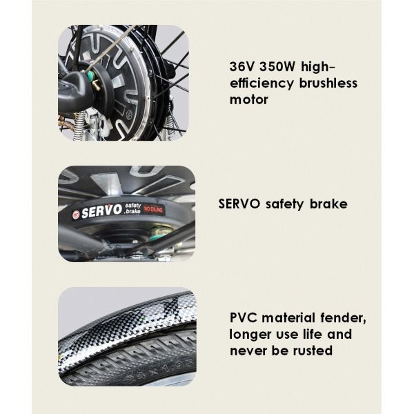 36V 350W Pedal Assist Electric Bike 24 Inch Wheel V Brake Rear Brushless Motor