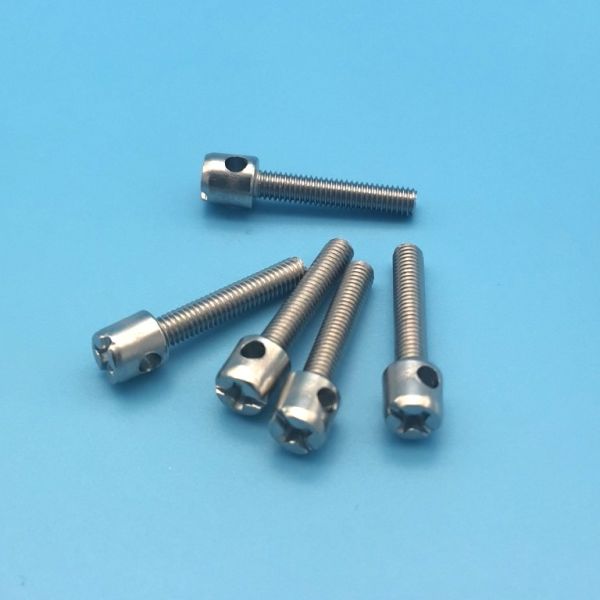 Stainless steel seal screw/Electric meter screw /Hole screw /Low voltage power distribution screw Electric meter screw