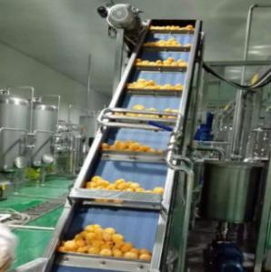 China Fully Automatic System Citrus/Orange Juice Processing Line on sale