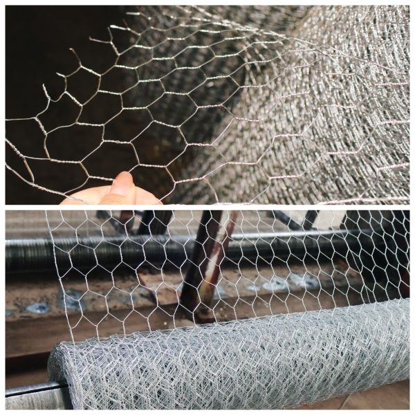 BWG21X3/4" Galvanized Hexagonal Wire Mesh Roll Chicken Net For For Chicken Coop