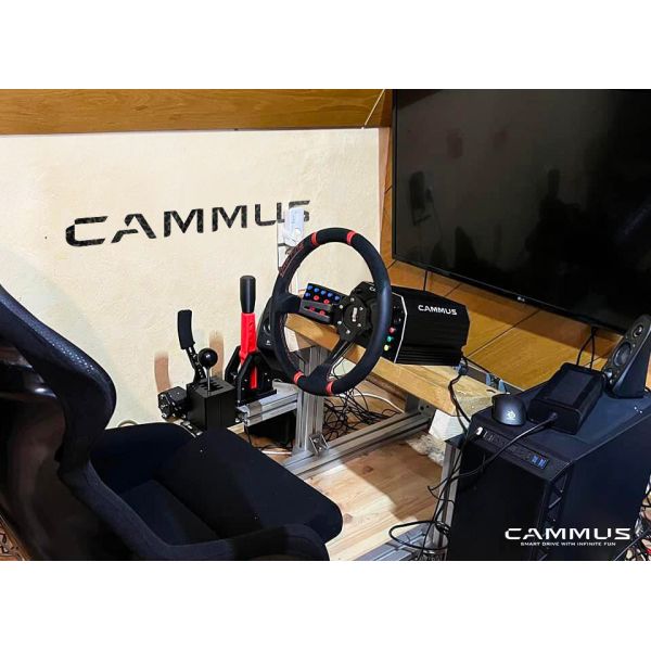 Racing Car Gaming Driving Simulator with Wheel And Pedals Sim Stand
