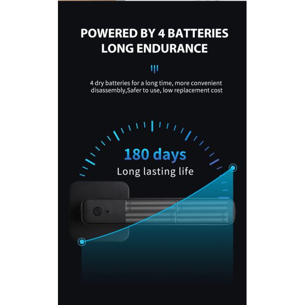 Zinc Alloy Tuya APP Smart Lock Password Keyless Electronic Home Door Lock