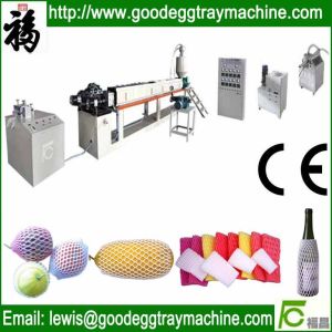 Offering PE Foam Fruit Net Machine