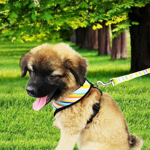 Cute Rainbow Pet Dog Collar Leash Set Nylon Custom Logo Fashion Sublimation