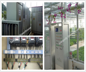 Venlo Greenhouse Commercial Polycarbonate Greenhouse For Seeds Vegetables Hydroponic Tomato Cucumber