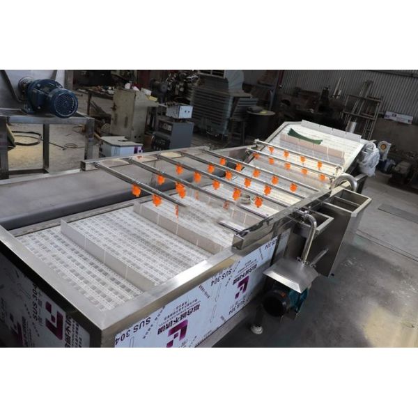 Multi Function 3.75KW Air Bubble Vegetable Washing Machine