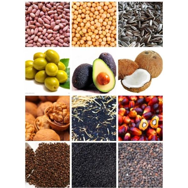 380v 100r/Min Vegetable Cooking Oil Making Machine