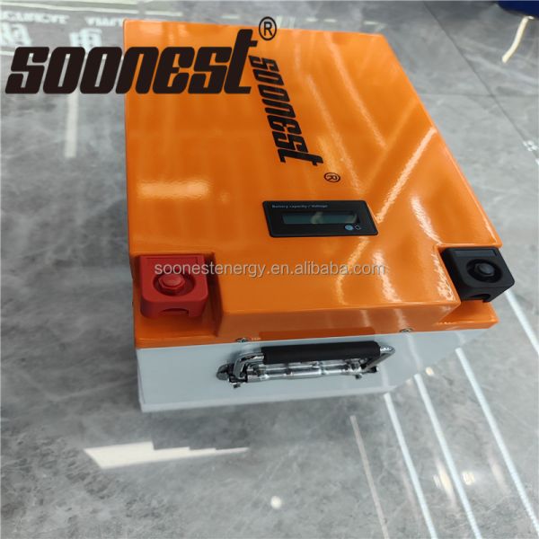 Soonest Pack Lfp Lifepo4 Powerwall Lithium Ion Battery Baterie Lithium 12V 24V 200Ah 15Kwh Lithium Battery