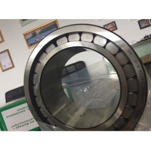 Single Row 0 - 110mm SL18 5022 Full Complement Needle Bearing