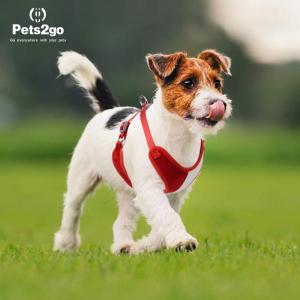 China Nylon Oxford Lightweight 122G Comfort Dog Harness on sale
