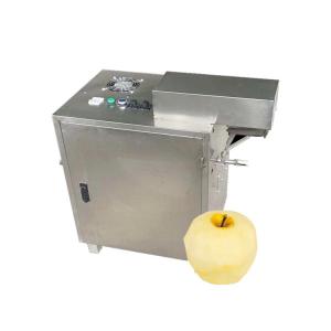 Quality Industrial Fruit mango pulp processing peeling machine Pineapple apple juice extractor machine Passion fruit pulping machine wholesale