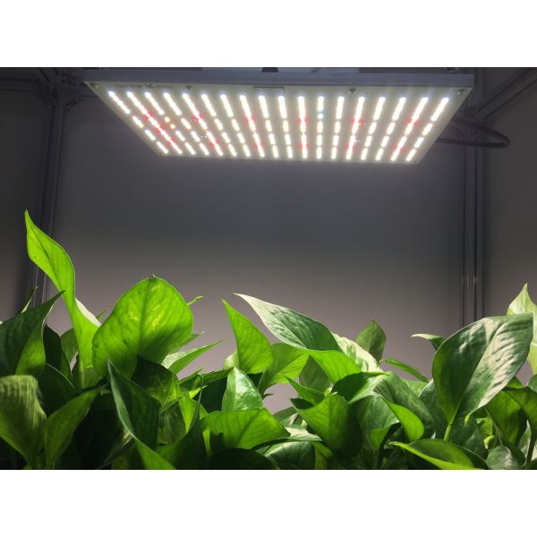Separate Hanger 120W AC85V UV LED Grow Lights